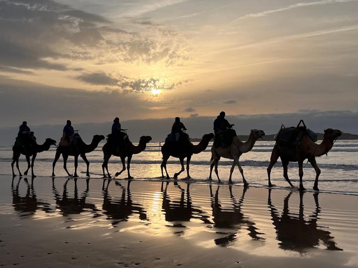 Surf Housemaroc Vandrerhjem Essaouira Eksteriør bilde