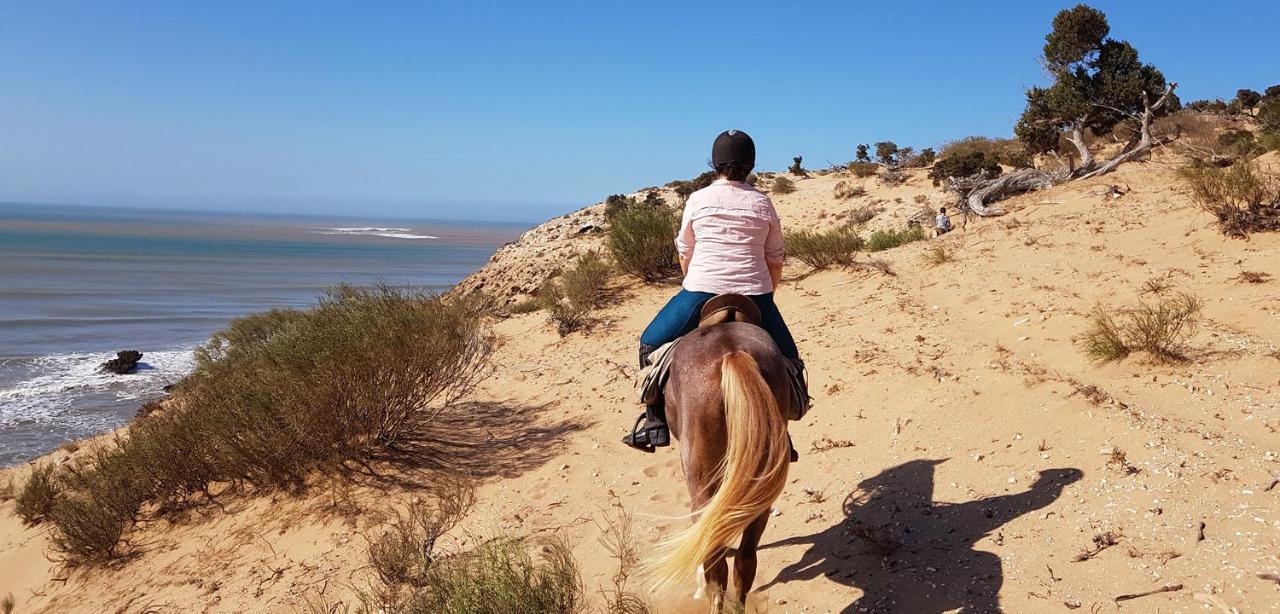 Surf Housemaroc Vandrerhjem Essaouira Eksteriør bilde
