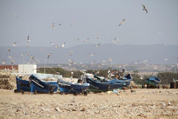 Surf Housemaroc Vandrerhjem Essaouira Eksteriør bilde