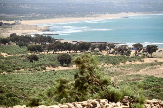 Surf Housemaroc Vandrerhjem Essaouira Eksteriør bilde